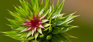 卡密网站折扣的手机号网页在线轰炸源码